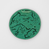 Circle Potholder - Drape - Lucky Green - Circus Green