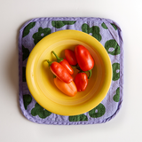 Potholder  - Celeste in Grass & Lilac Pop