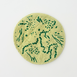 Circle Potholder - Drape - Circus Green - Pear