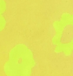 Celeste Crew - Sunny Yellow & Neon