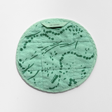 Circle Potholder - Drape - Circus Green - Pool